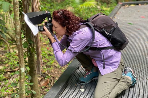 Let\'s Go Buggin & Let\'s Go Shroomin - Photography & Nature Walking Tours - Taree Accommodation 3