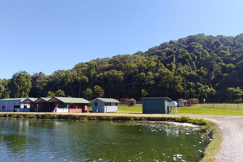 Small-Group Fishing At Barramundi Farm And A Visit To Port Douglas - Taree Accommodation 4