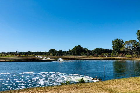 Small-Group Fishing At Barramundi Farm And A Visit To Port Douglas - Taree Accommodation 5