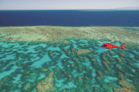 Two-Day Cairns Adventure - Taree Accommodation 4