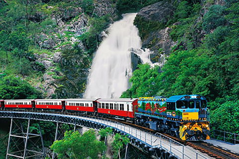 Two-Day Cairns Adventure - Taree Accommodation 1