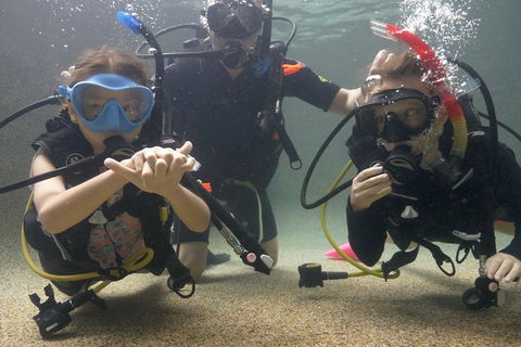 Scuba Kids- Padi Bubblemaker Course - Taree Accommodation 4