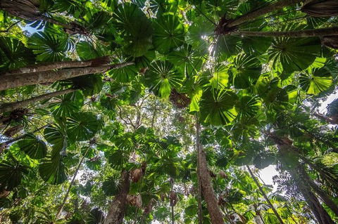 5 Day Australia Retreat: Queensland Daintree - Taree Accommodation 4