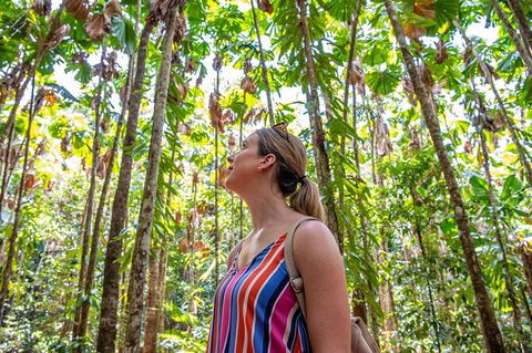 5 Day Australia Retreat: Queensland Daintree - Taree Accommodation 3