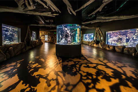 Cairns Aquarium By Twilight With 3 Course Dinner - Taree Accommodation 7