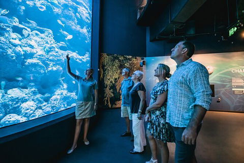 Cairns Aquarium By Twilight With 3 Course Dinner - Taree Accommodation 0
