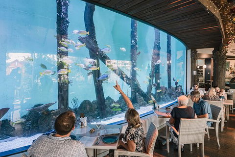 Cairns Aquarium By Twilight With 3 Course Dinner - Taree Accommodation 1