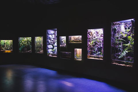 Cairns Aquarium By Twilight With 3 Course Dinner - Taree Accommodation 3