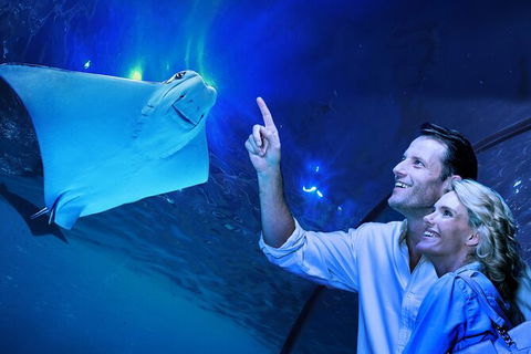 Cairns Aquarium Tour By Twilight With Drink And Appetiser - Taree Accommodation 0