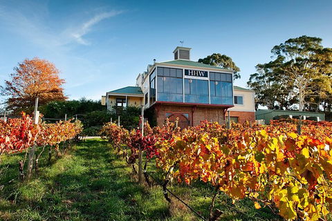 Adelaide Hills Food, Wine, Cheese, & Chocolate - Private Day Tour - Taree Accommodation 7