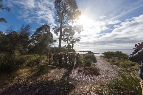 Bruny Island Day Tour, Includes Lunch And Exclusive Lighthouse Tour - Taree Accommodation 15