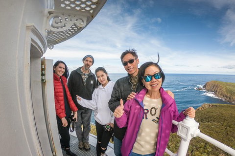 Bruny Island Day Tour, Includes Lunch And Exclusive Lighthouse Tour - Taree Accommodation 10