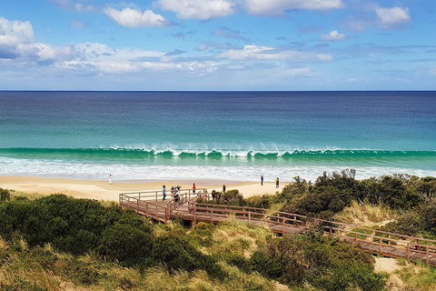 Bruny Island Day Tour, Includes Lunch And Exclusive Lighthouse Tour - Taree Accommodation 4