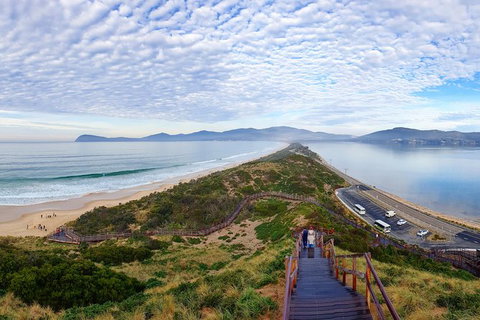 Bruny Island Day Tour, Includes Lunch And Exclusive Lighthouse Tour - Taree Accommodation 16