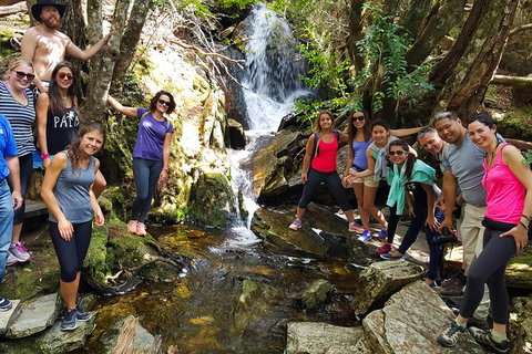 7-Day Super Value Tour Of Tasmania: Explore Tasmania\'s West And East Coasts - Taree Accommodation 3