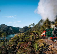 West Coast Wilderness Railway Rack and Gorge from Queenstown - Taree Accommodation