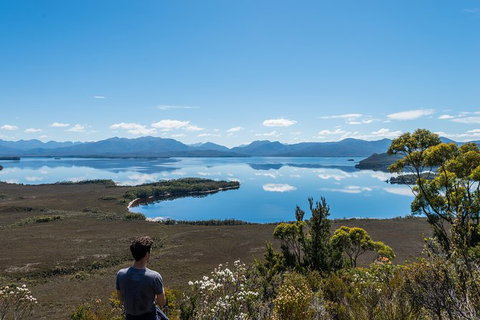 Southwest Tasmania Wilderness Experience: Fly Cruise And Walk Including Lunch - Taree Accommodation 2