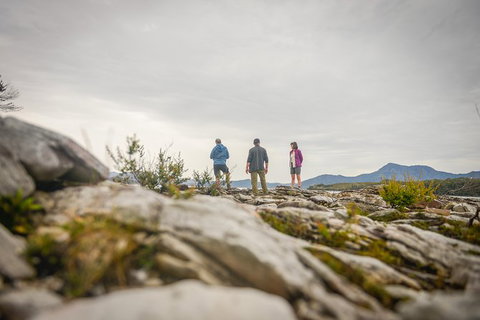 Southwest Tasmania Wilderness Experience: Fly Cruise And Walk Including Lunch - Taree Accommodation 5
