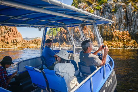 Southwest Tasmania Wilderness Experience: Fly Cruise And Walk Including Lunch - Taree Accommodation 11