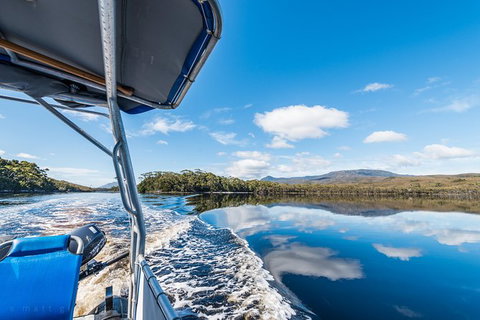 Southwest Tasmania Wilderness Experience: Fly Cruise And Walk Including Lunch - Taree Accommodation 13