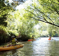 Paddle with the Platypus Twilight Kayak Adventure - Taree Accommodation