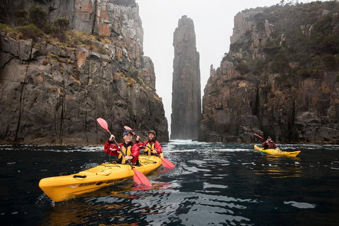 Tasman Peninsula Full Day Kayaking Tour - Taree Accommodation 6