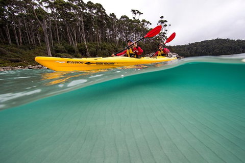Tasman Peninsula Full Day Kayaking Tour - Taree Accommodation 5