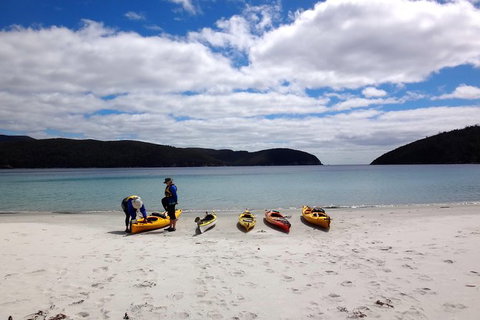 Tasman Peninsula Full Day Kayaking Tour - Taree Accommodation 3