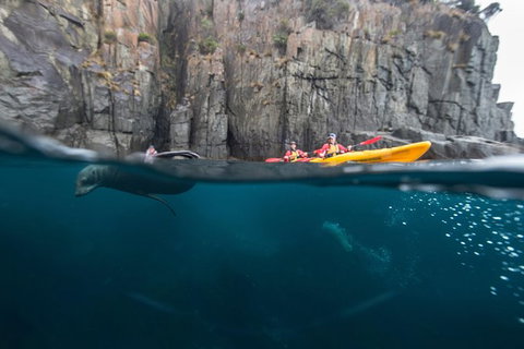 Tasman Peninsula Full Day Kayaking Tour - Taree Accommodation 0