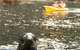 Tasman Peninsula Full Day Kayaking Tour - thumb 1