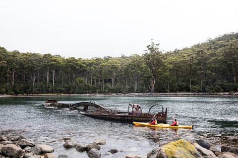 Tasman Peninsula Full Day Kayaking Tour - Taree Accommodation 2