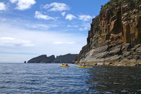 Tasman Peninsula Full Day Kayaking Tour - Taree Accommodation 4