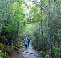 kunanyi/Mt Wellington Explorer Bus - One Way Tour - Taree Accommodation