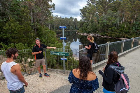 Tahune Airwalk Active Day Trip From Hobart Including Hastings Caves - Taree Accommodation 3