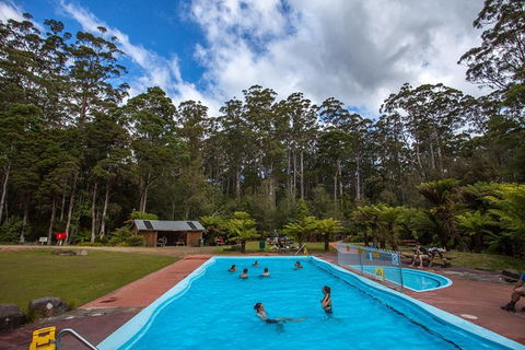 Tahune Airwalk Active Day Trip From Hobart Including Hastings Caves - Taree Accommodation 2