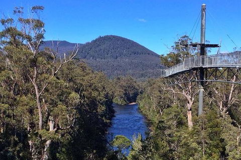 Tahune Airwalk Active Day Trip From Hobart Including Hastings Caves - Taree Accommodation 6