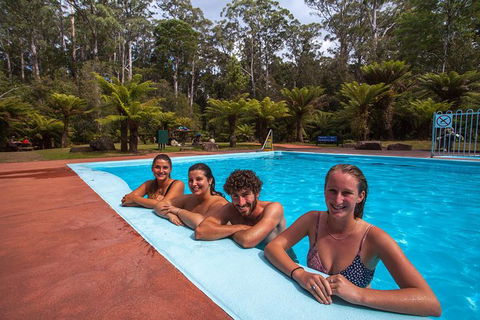 Tahune Airwalk Active Day Trip From Hobart Including Hastings Caves - Taree Accommodation 4