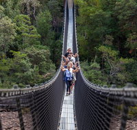 Tahune Airwalk Active Day Trip from Hobart Including Hastings Caves - Taree Accommodation