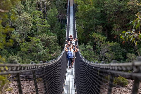 Tahune Airwalk Active Day Trip From Hobart Including Hastings Caves - Taree Accommodation 0
