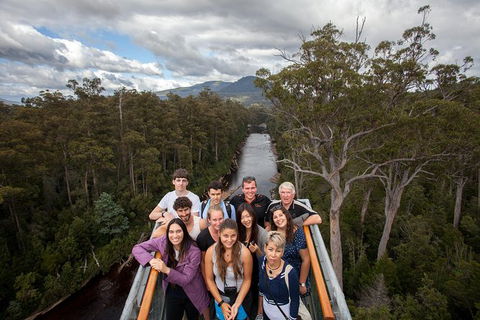 Tahune Airwalk Active Day Trip From Hobart Including Hastings Caves - Taree Accommodation 1