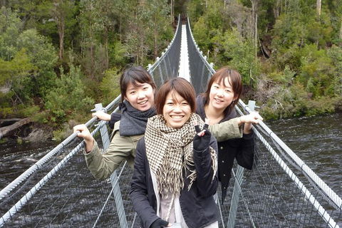 Tahune Airwalk Active Day Trip From Hobart Including Hastings Caves - Taree Accommodation 7