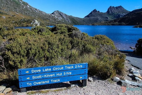 Cradle Mountain Guided Walk With Gourmet Hamper - Taree Accommodation 1