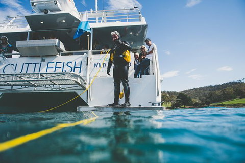 Deep-to-Dish: Tasmanian Seafood Experience - Afternoon Tour - Taree Accommodation 6