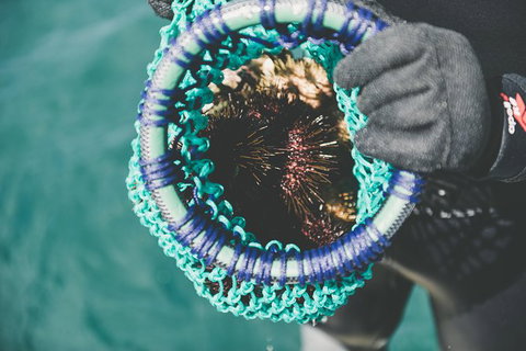 Deep-to-Dish: Tasmanian Seafood Experience - Afternoon Tour - Taree Accommodation 5