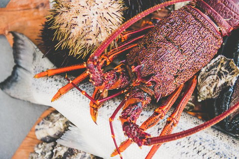 Deep-to-Dish: Tasmanian Seafood Experience - Afternoon Tour - Taree Accommodation 7