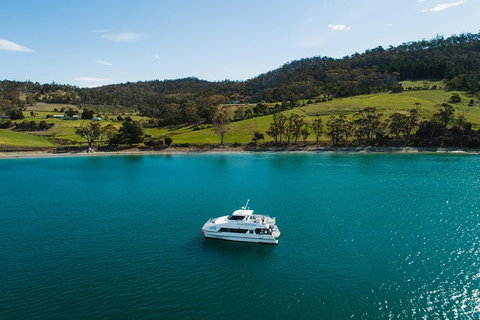 Deep-to-Dish: Tasmanian Seafood Experience - Afternoon Tour - Taree Accommodation 8