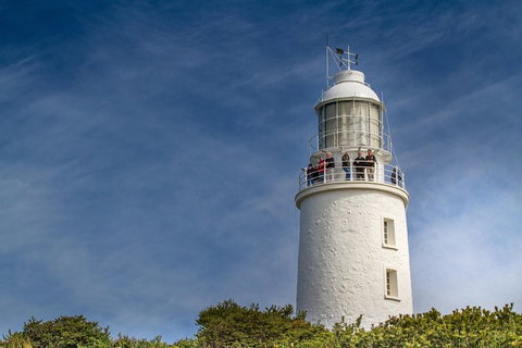 Fully Guided Bruny Island Lighthouse Tour - Taree Accommodation 7