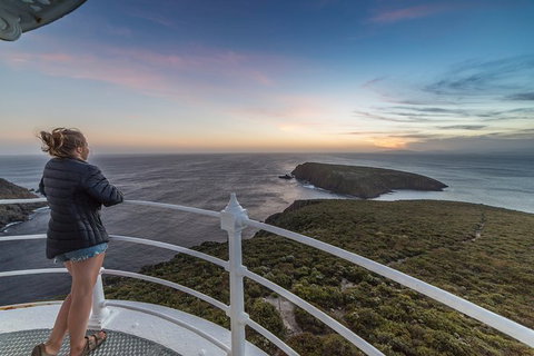Fully Guided Bruny Island Lighthouse Tour - Taree Accommodation 4