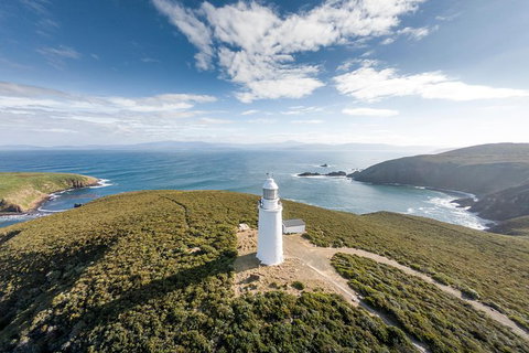 Fully Guided Bruny Island Lighthouse Tour - Taree Accommodation 0