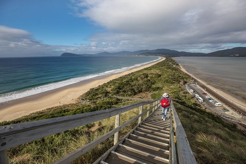 Fully Guided Bruny Island Lighthouse Tour - Taree Accommodation 2